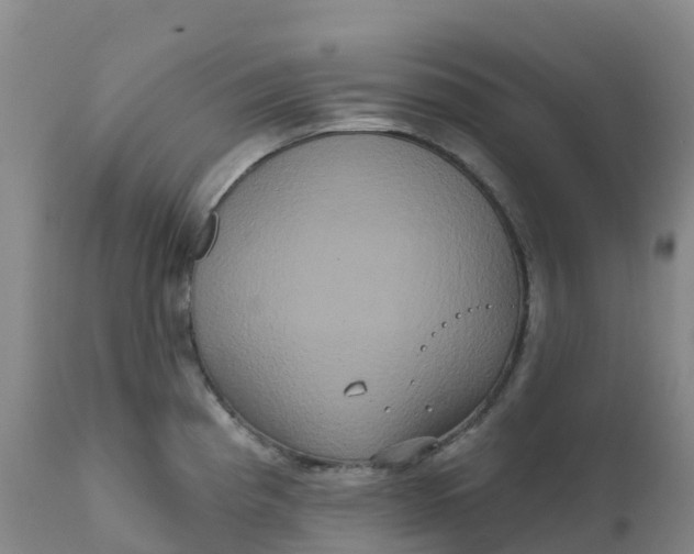 X0000111821193200908131516