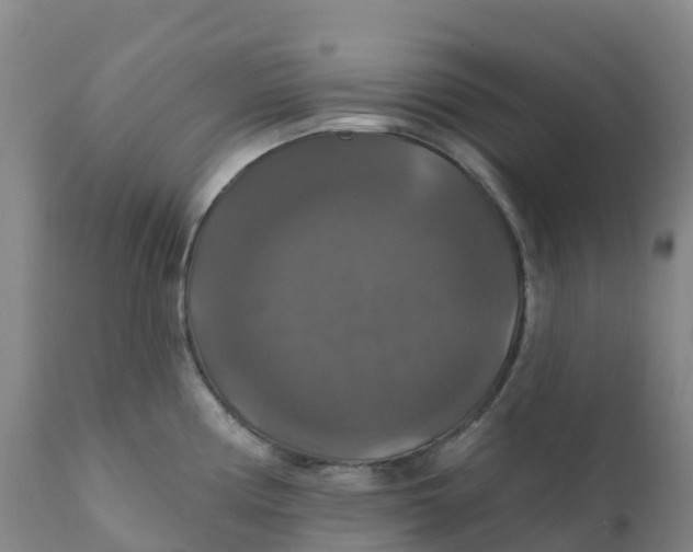 X0000111821194200908131516