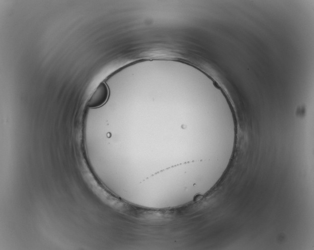 X0000111821195200908131516