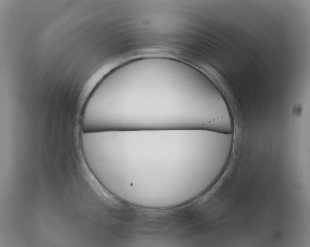 X0000111821196200908131516