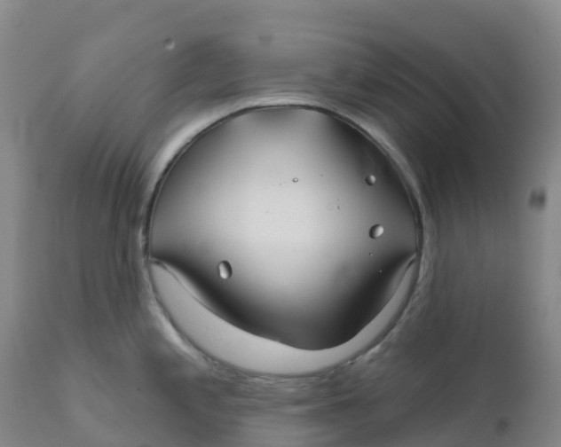 X0000111821197200908131516