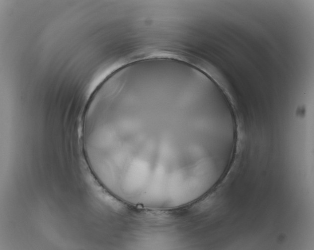 X0000111821198200908131516