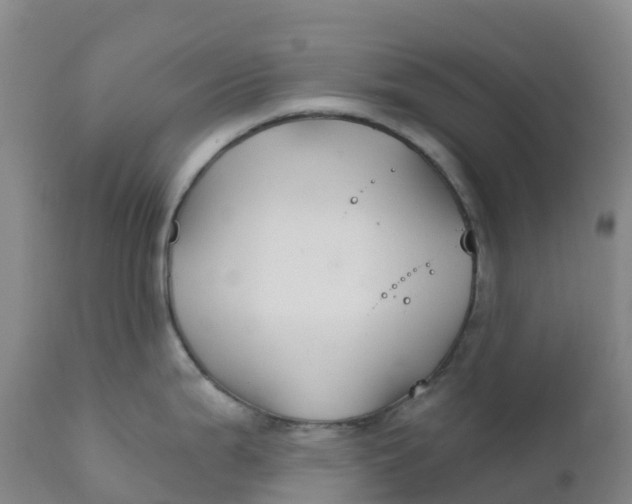 X0000111821199200908131516