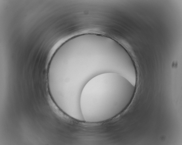 X0000111821200200908131516