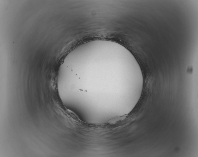 X0000111821202200908131515