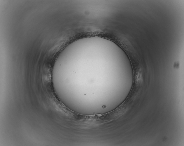 X0000111821204200908131515