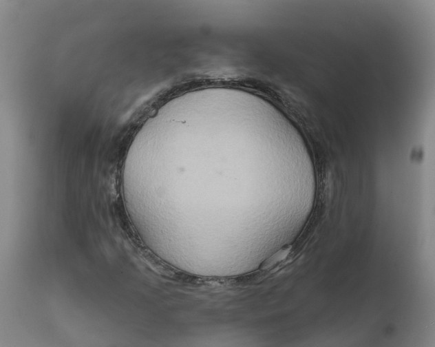 X0000111821205200908131515