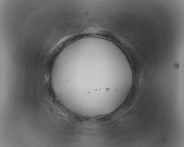 X0000111821206200908131515