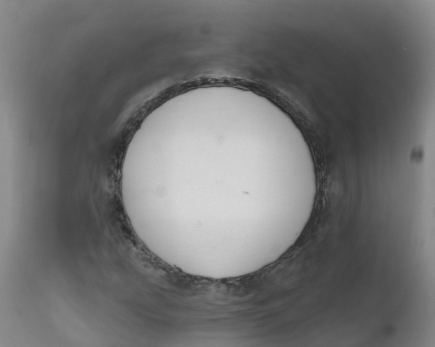 X0000111821207200908131515