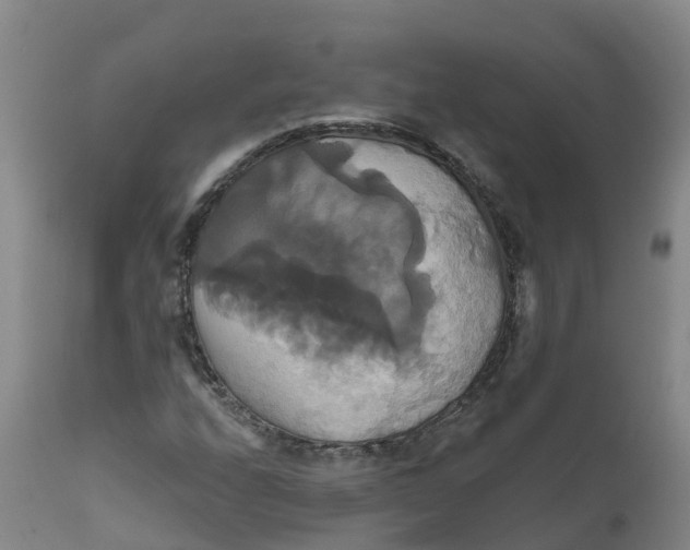 X0000111821208200908131515