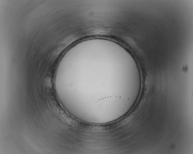 X0000111821209200908131515