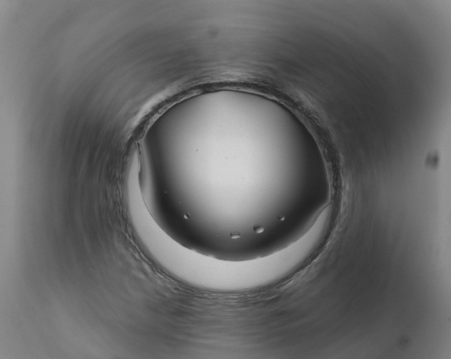 X0000111821210200908131515