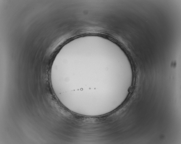 X0000111821211200908131515