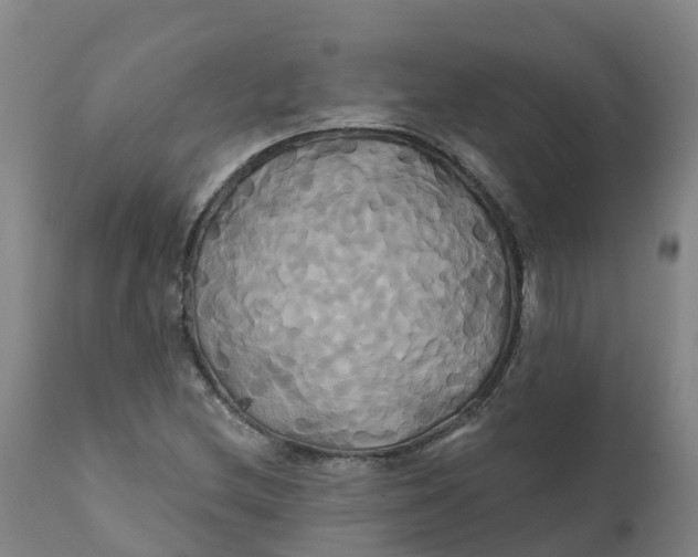 X0000111821212200908131515