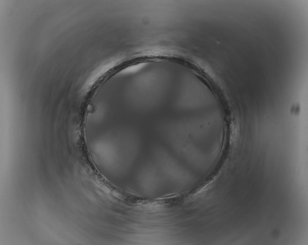 X0000111821213200908131515