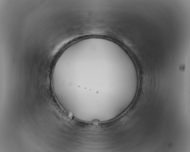 X0000111821214200908131515