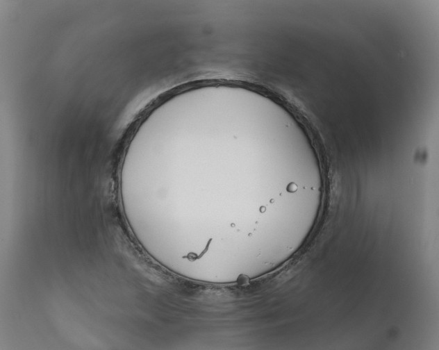 X0000111821215200908131515