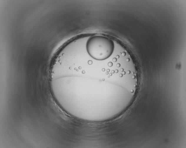 X0000111821216200908131515