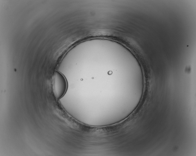 X0000111821217200908131515