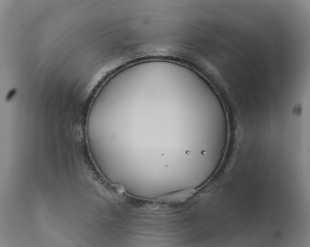 X0000111821218200908131515