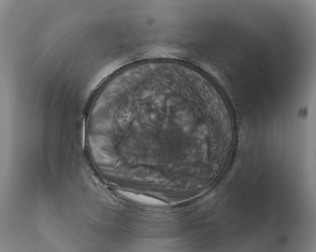 X0000111821219200908131515