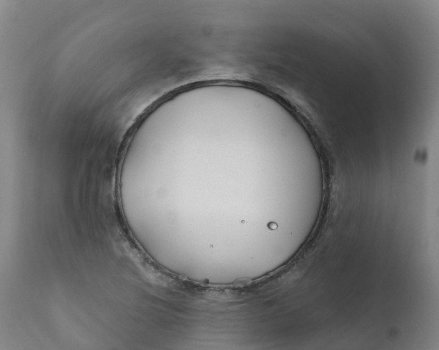 X0000111821220200908131515