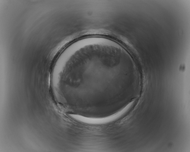 X0000111821221200908131515