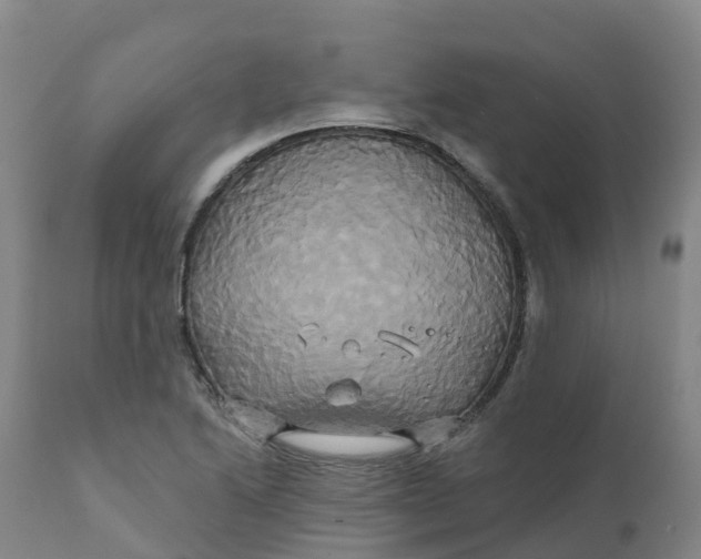 X0000111821222200908131515