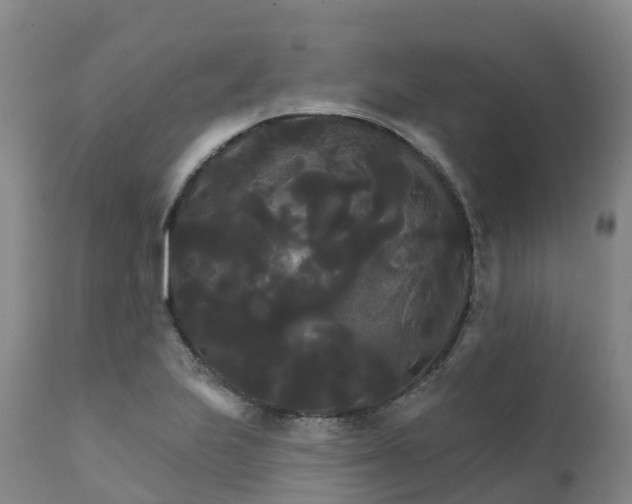 X0000111821223200908131515