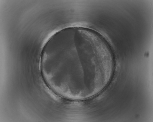 X0000111821224200908131515