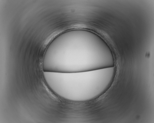 X0000111821225200908131515