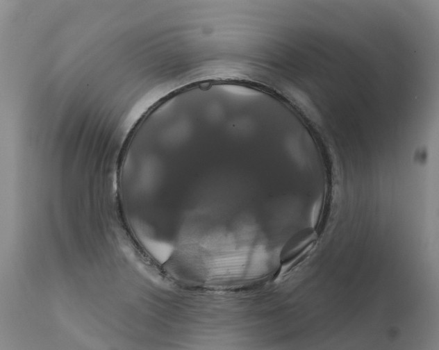 X0000111821226200908131515