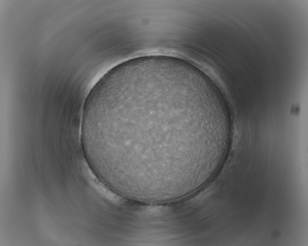 X0000111821228200908131515