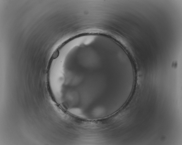 X0000111821229200908131515