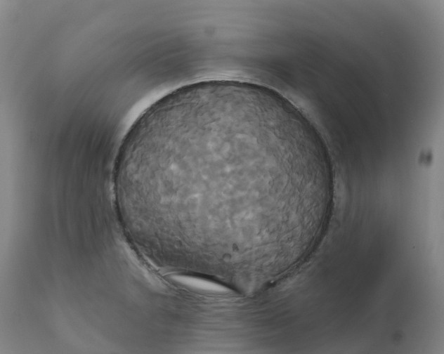 X0000111821230200908131515