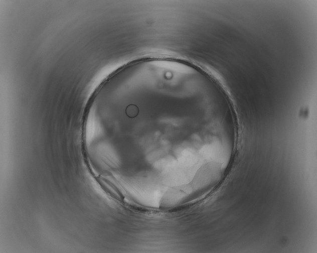 X0000111821231200908131515