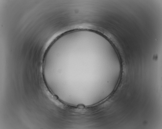 X0000111821232200908131515