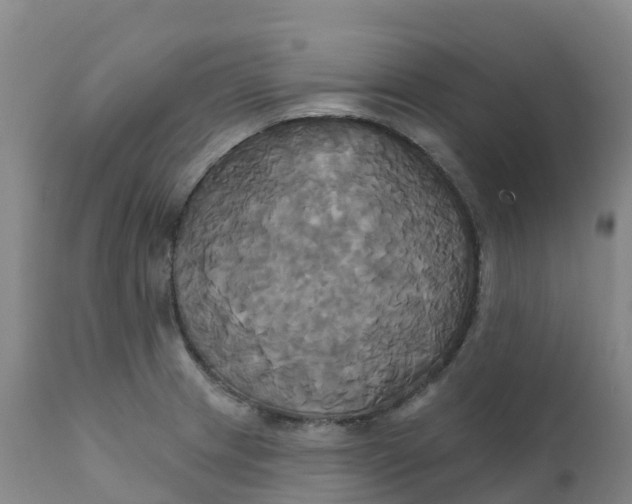 X0000111821233200908131515