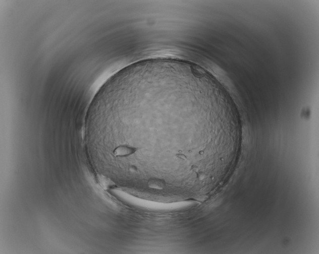 X0000111821234200908131515