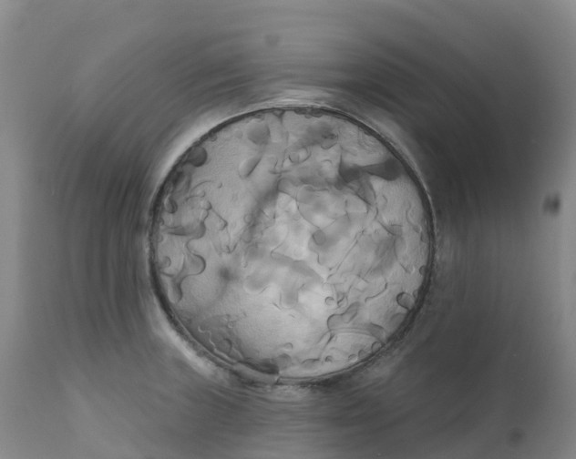 X0000111821235200908131515