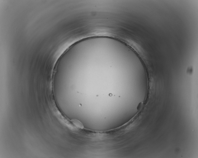 X0000111821236200908131515