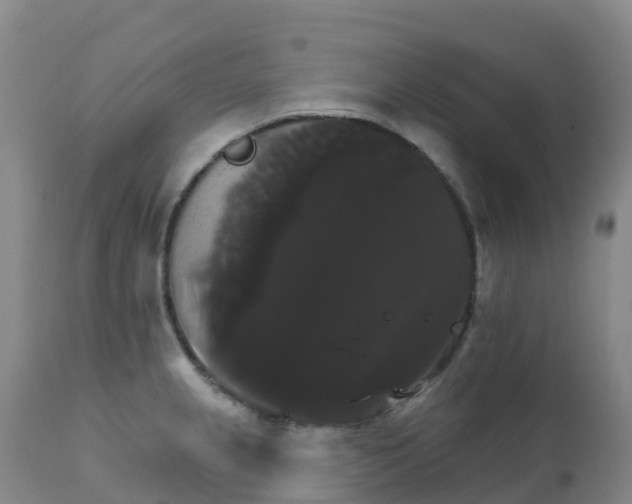 X0000111821237200908131515