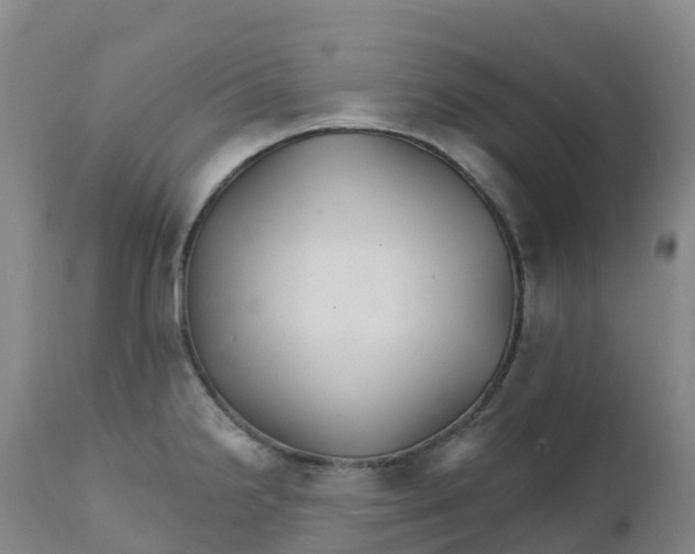 X0000111821238200908131515