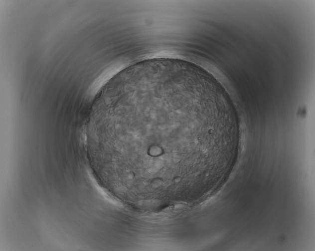 X0000111821241200908131515