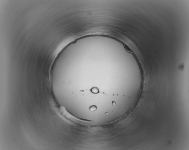 X0000111821242200908131516