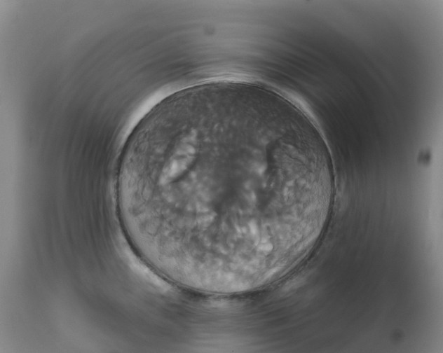 X0000111821243200908131516