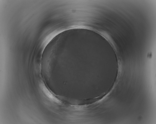 X0000111821244200908131516