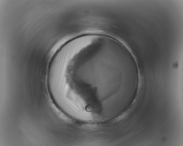 X0000111821245200908131516