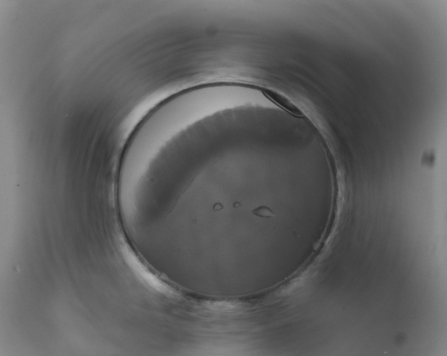 X0000111821246200908131516