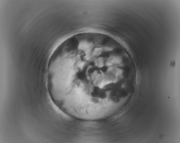 X0000111821247200908131516